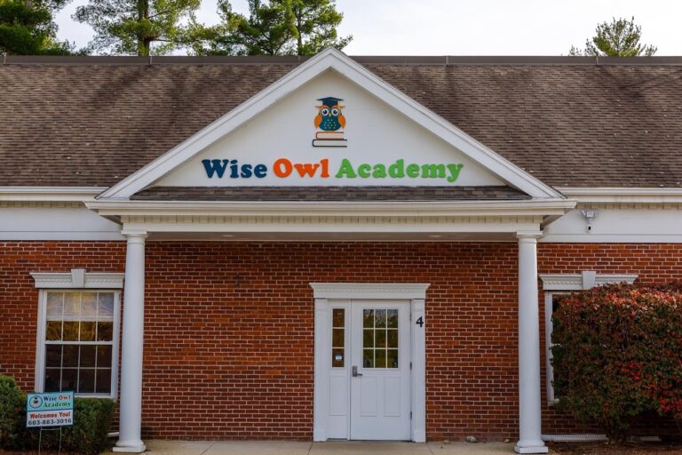 wiseowl 768x512